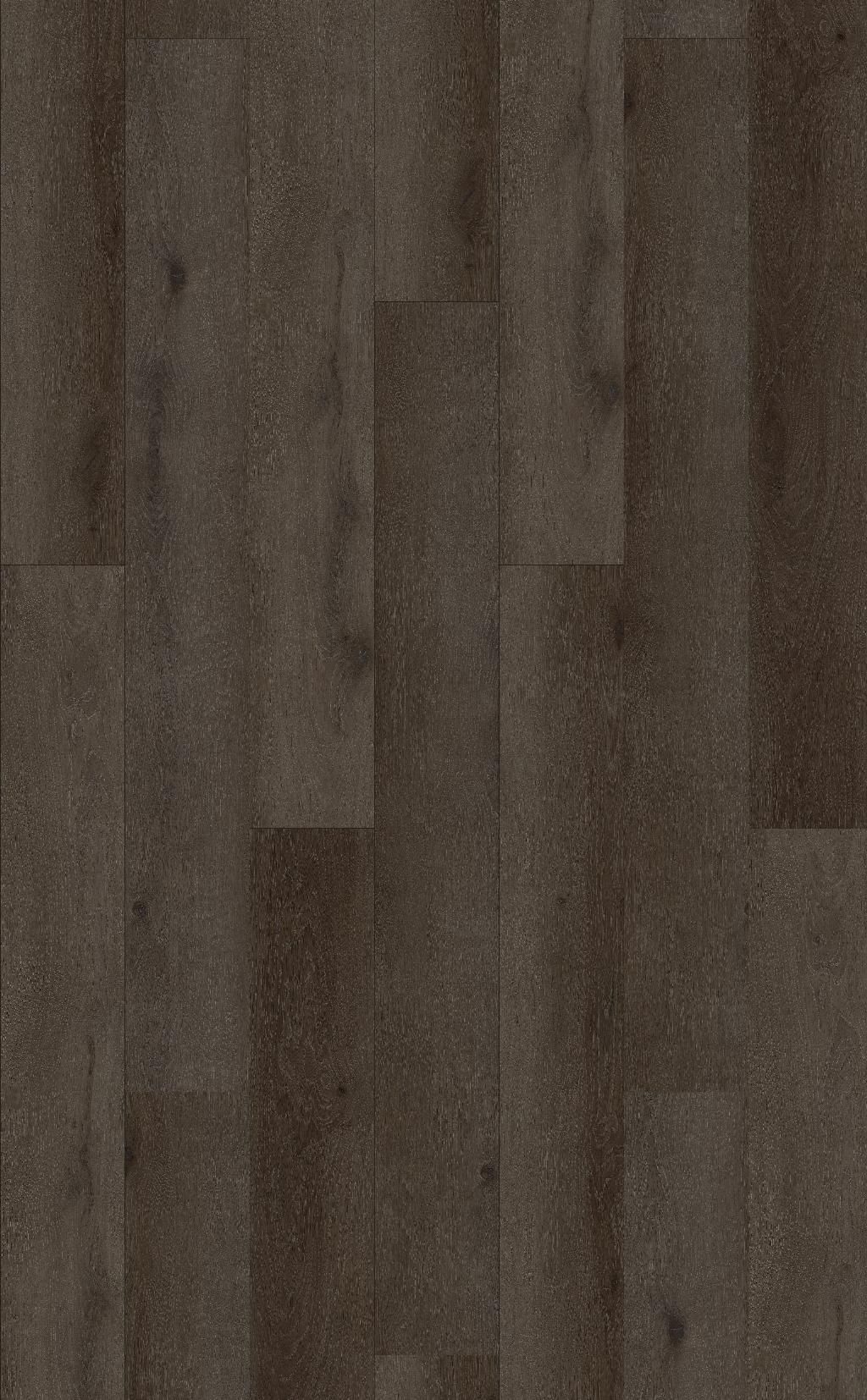 Fiji Plank DB Rewa